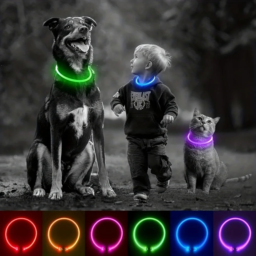 Collar Luminoso LED para Perros – Recargable por USB y Antipérdida