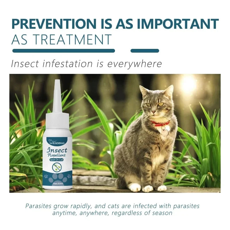 Antipulgas y Antigarrapatas Natural para Perros y Gatos – Spray 50ml Efectivo contra Ácaros, Pulgas y Garrapatas