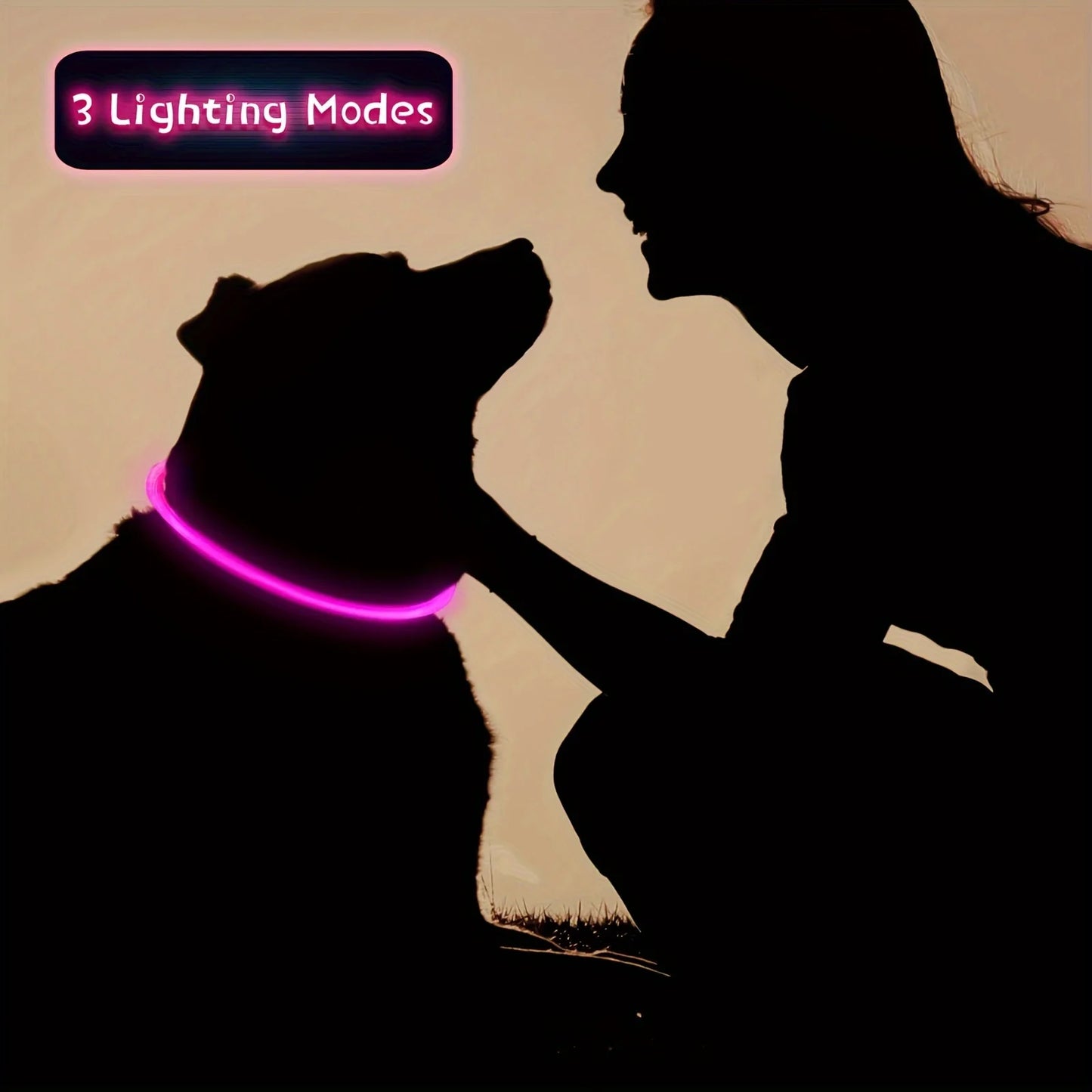 Collar Luminoso LED para Perros – Recargable por USB y Antipérdida