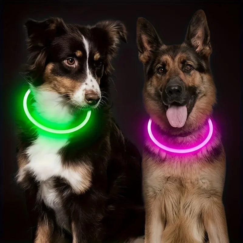 Collar Luminoso LED para Perros – Recargable por USB y Antipérdida