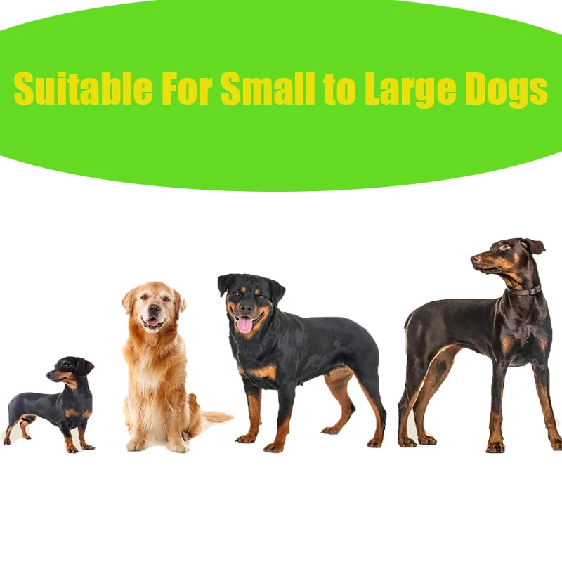 Bolsas Biodegradables para Heces de Perro – Con Aroma a Lavanda y Dispensador Incluido