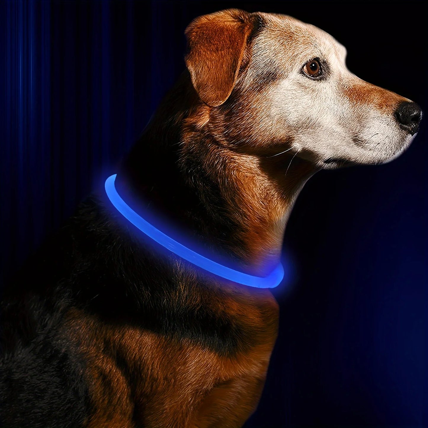 Collar Luminoso LED para Perros – Recargable por USB y Antipérdida