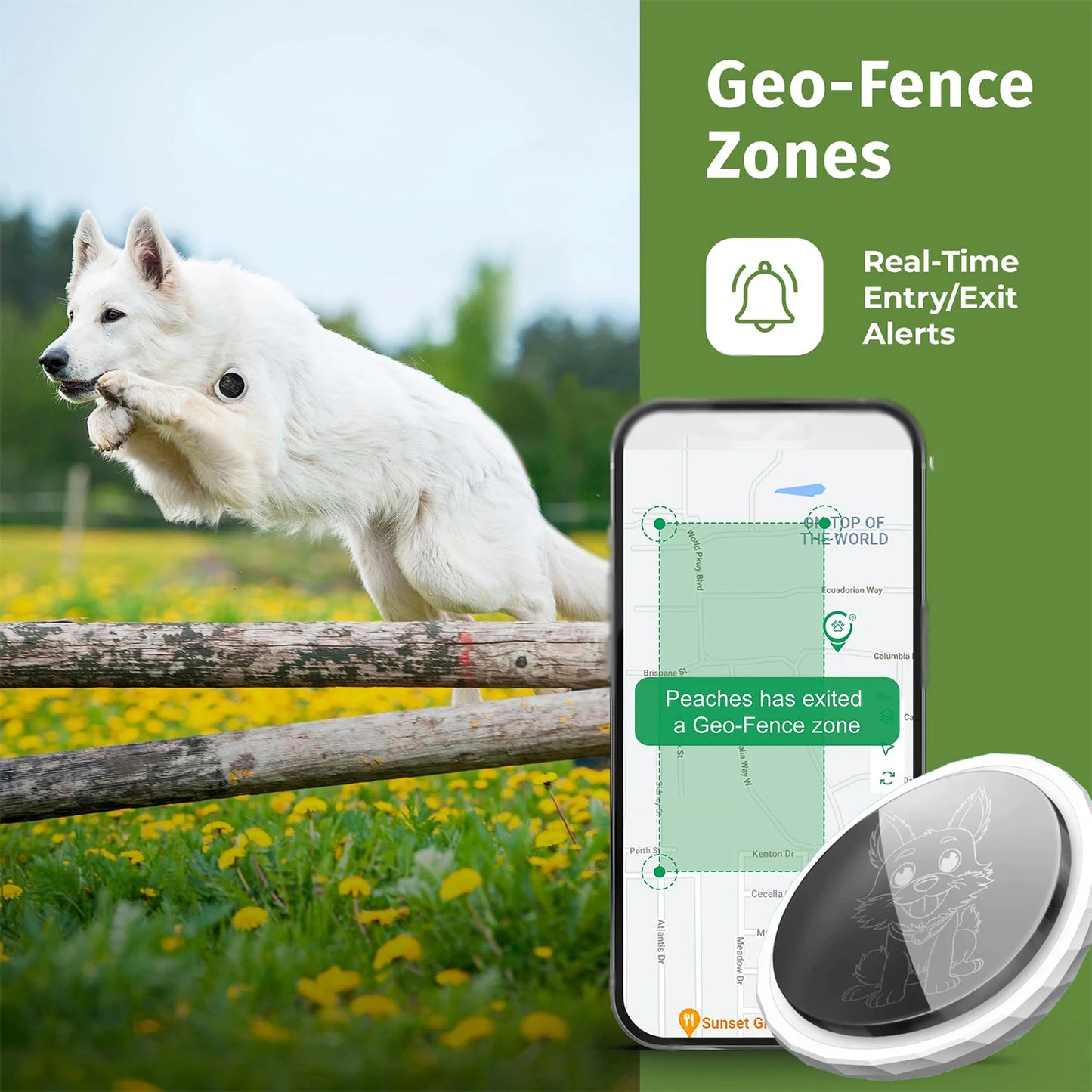 Localizador GPS Antipérdida para Perros y Gatos – Rastreador de Mascotas Impermeable, Precisión Extrema, Resistente al Frío y al Agua