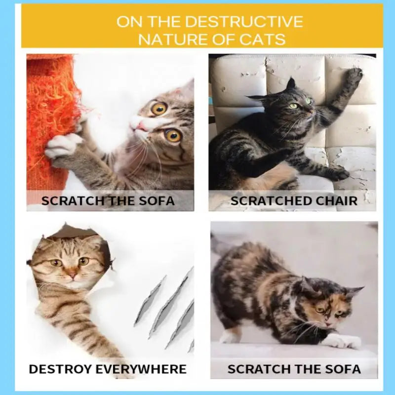 Cinta Antiarañazos Transparente para Gatos – Entrenamiento y Protección de Muebles – Residuo Cero