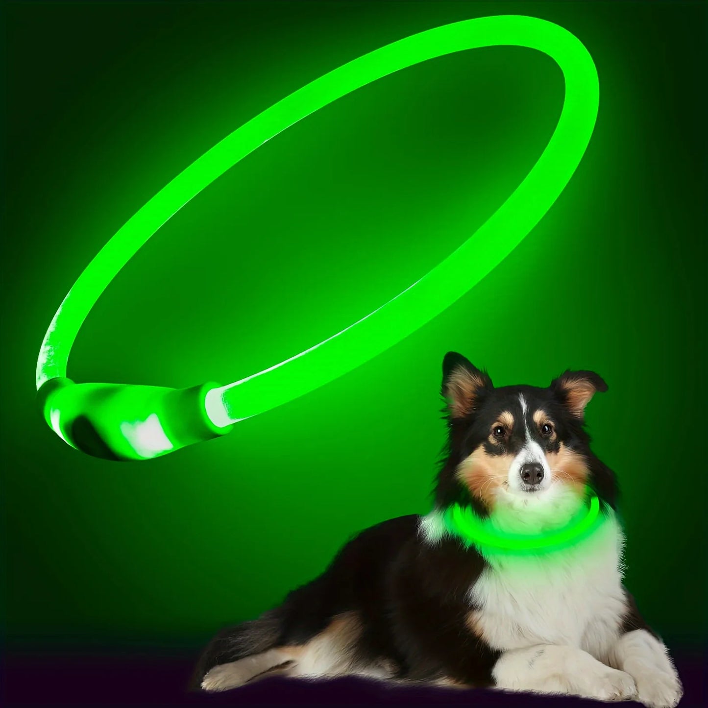 Collar Luminoso LED para Perros – Recargable por USB y Antipérdida