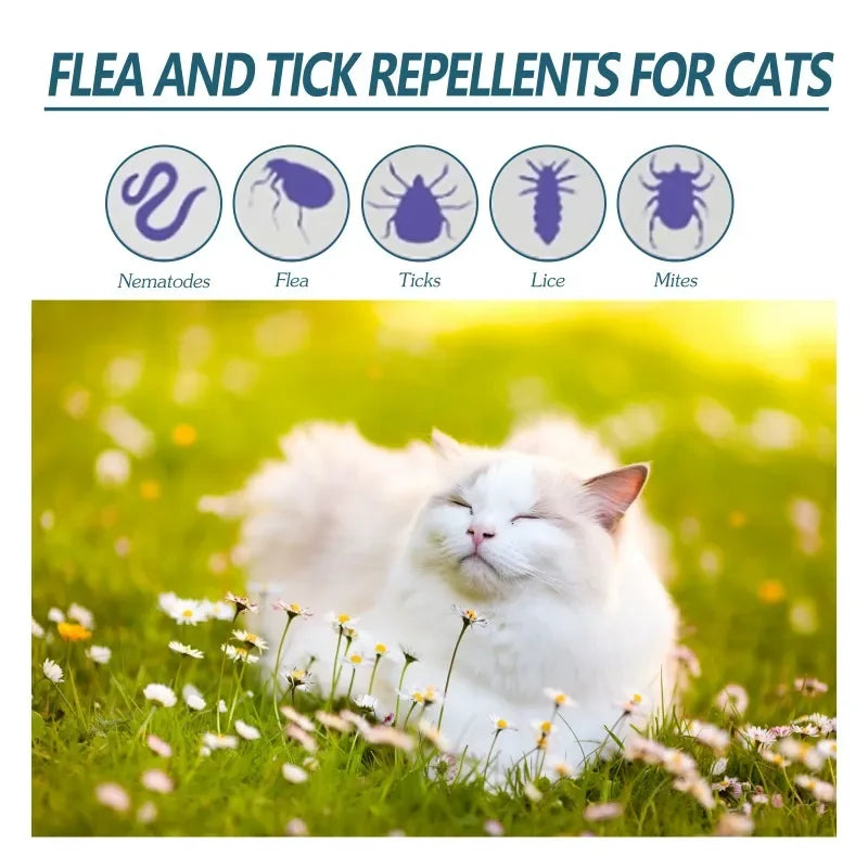 Antipulgas y Antigarrapatas Natural para Perros y Gatos – Spray 50ml Efectivo contra Ácaros, Pulgas y Garrapatas