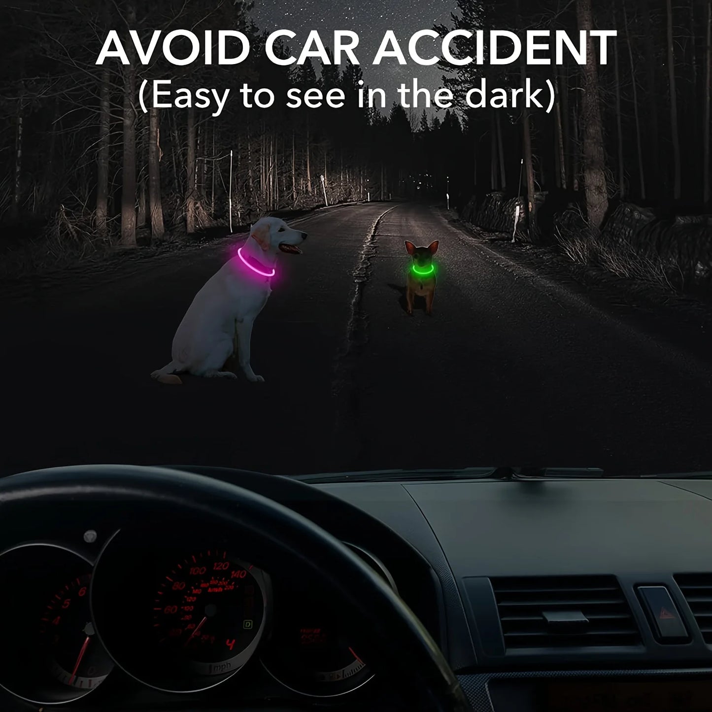 Collar Luminoso LED para Perros – Recargable por USB y Antipérdida
