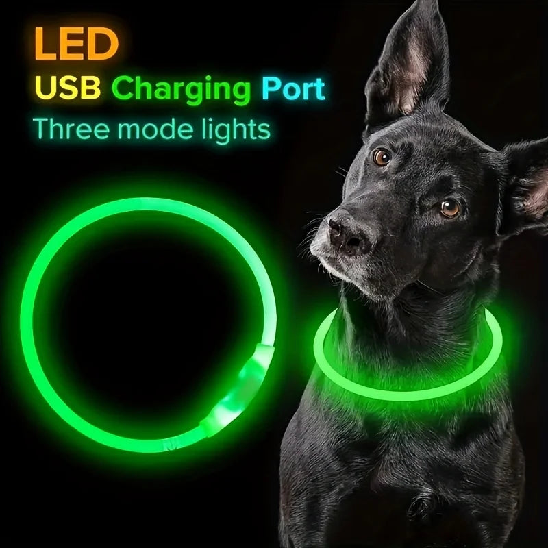 Collar Luminoso LED para Perros – Recargable por USB y Antipérdida