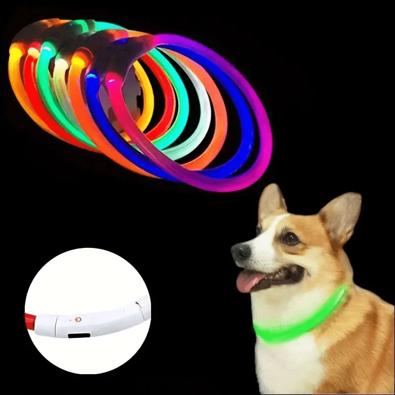 Collar Luminoso LED para Perros – Recargable por USB y Antipérdida