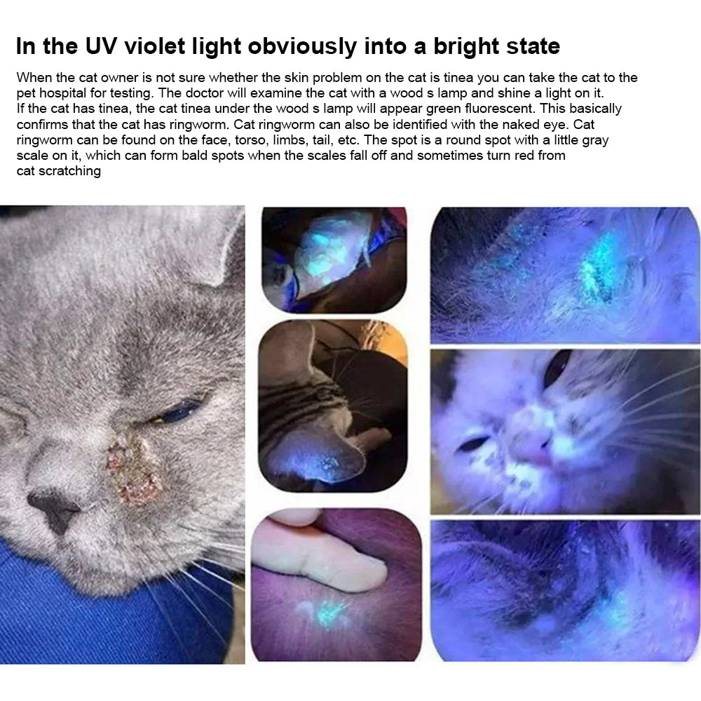 Lámpara UV Veterinaria para Gatos – Detección de Hongos, Acaros y Tiña | Resistente al Agua