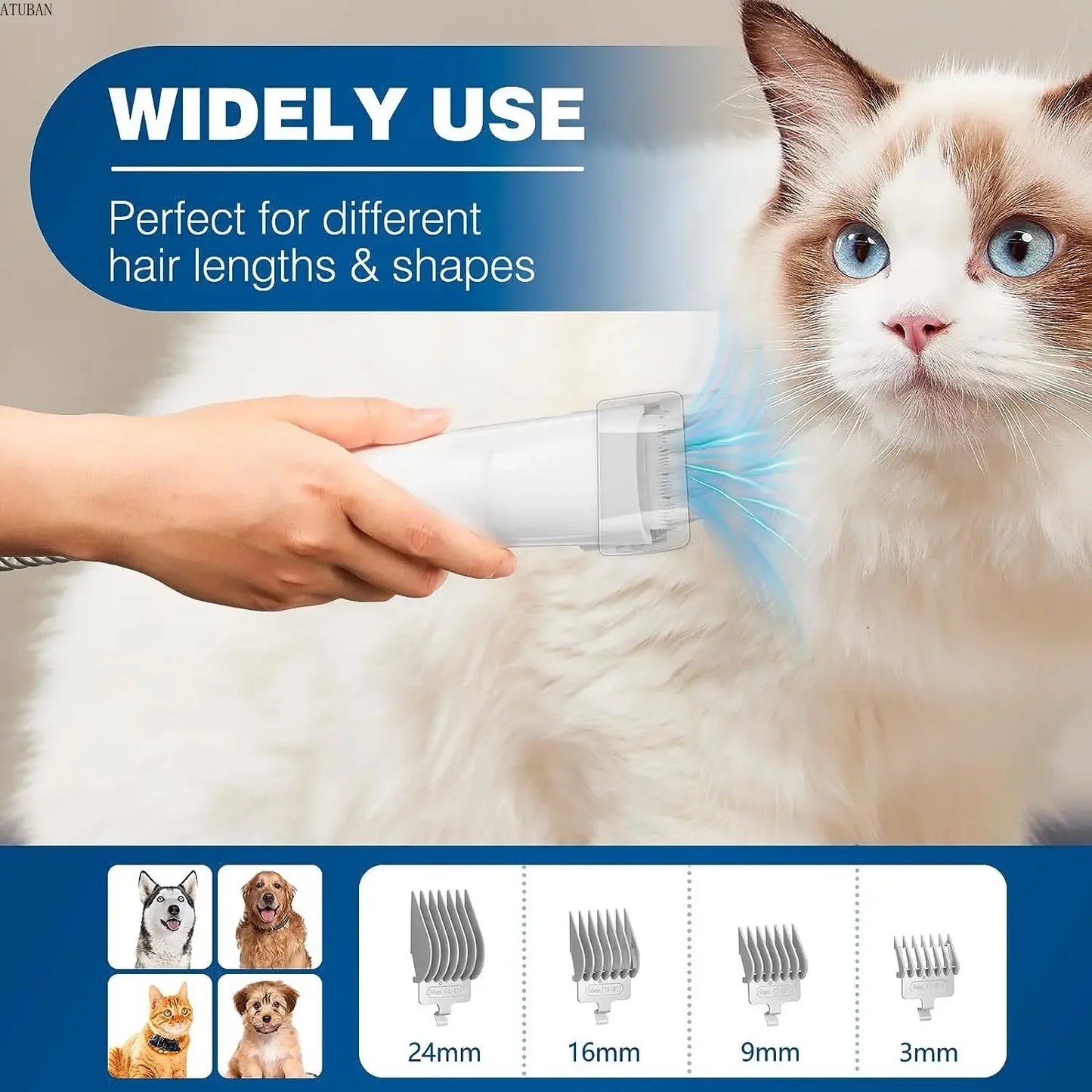 Olvídate del Pelo en Casa – Aspiradora Con Filtro HEPA, Silenciosa, con Cepillo para Mascotas y Recipiente de 2,3L