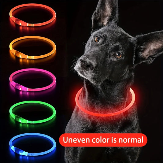 Collar Luminoso LED para Perros – Recargable por USB y Antipérdida
