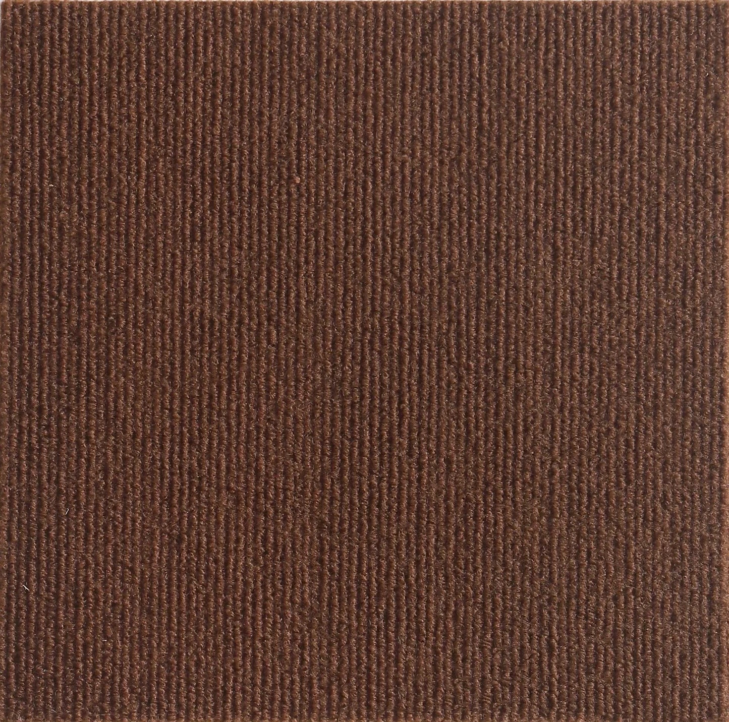 Alfombra Antiarañazos para Gatos – Autoadhesiva y Reutilizable – Protección de Sofás, Paredes y Muebles