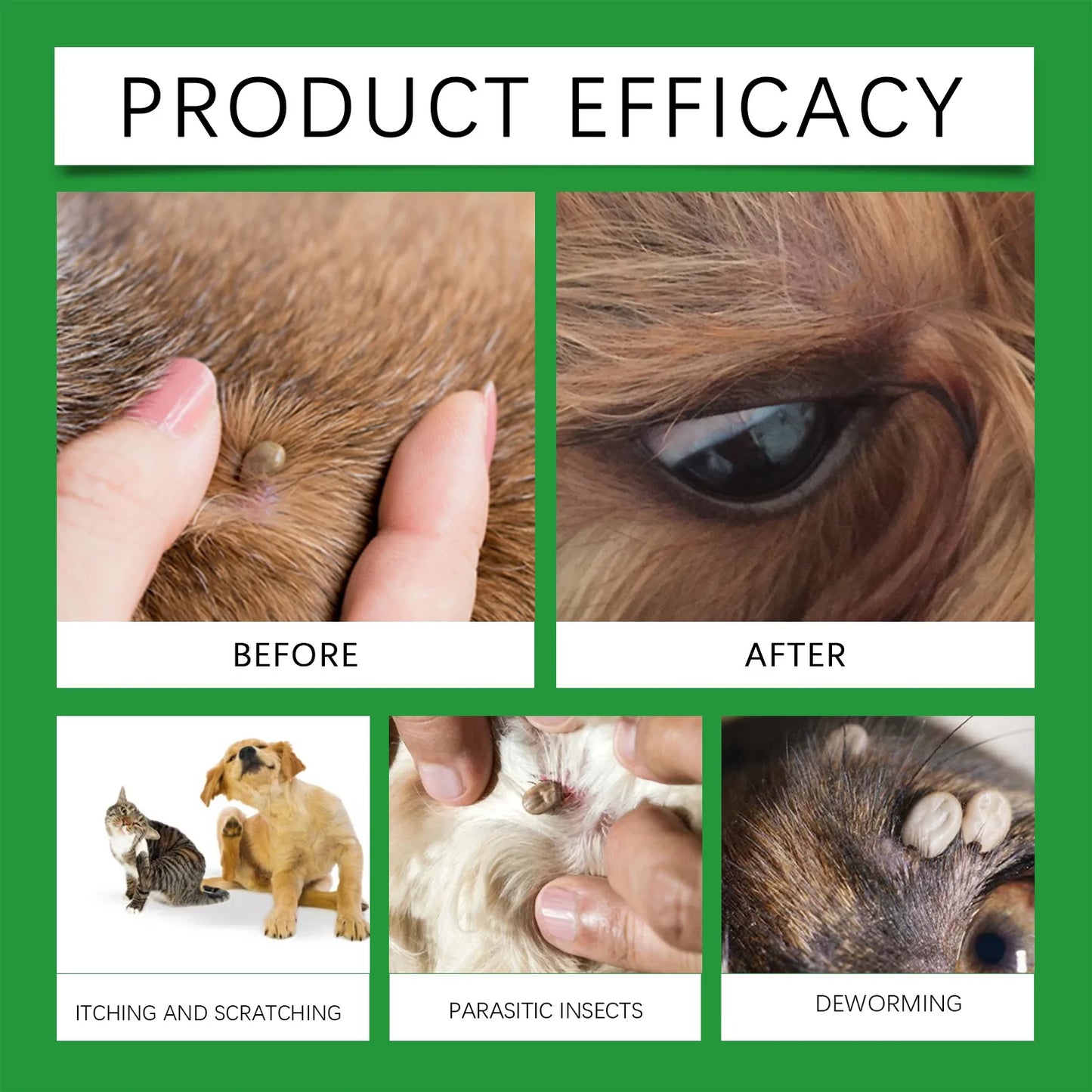 Spray Antipulgas y Antiparásitos Natural para Perros y Gatos – 100ml Protección Eficaz y Sin Irritación